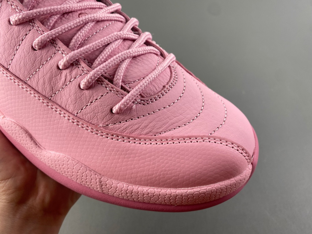 Air Jordan 12