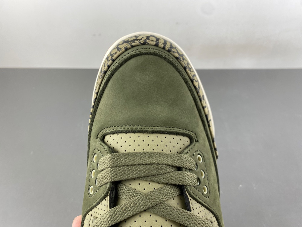 Air Jordan 3 “Family Affair” (Medium Olive) DN3707-202