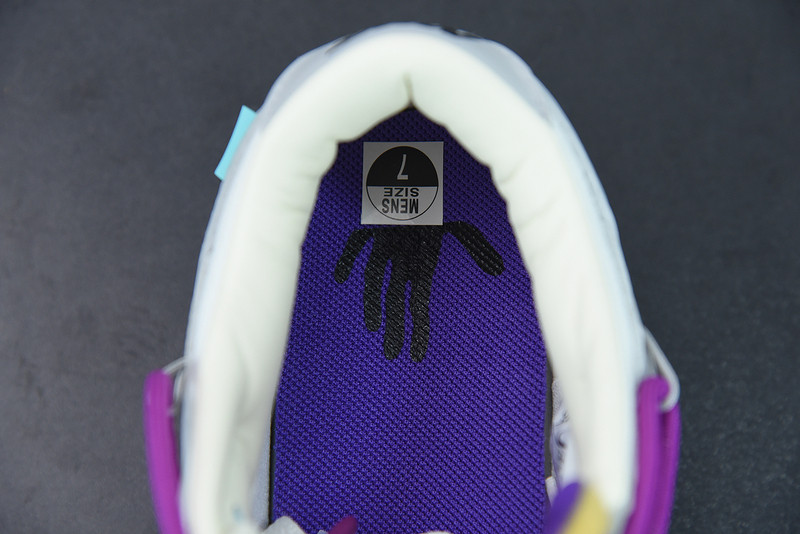of x dunk low