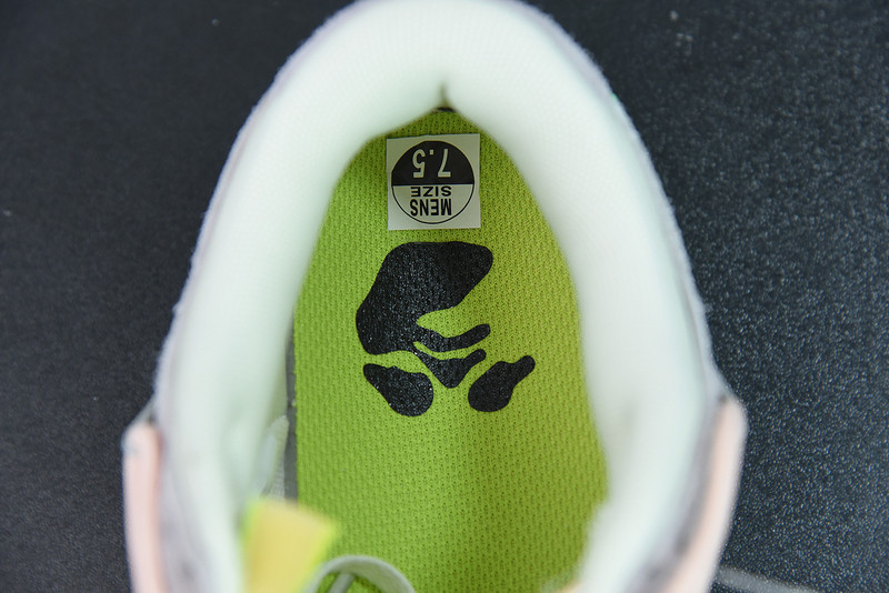 of x dunk low