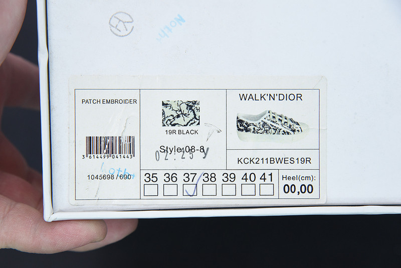 dio* x converse sneaker