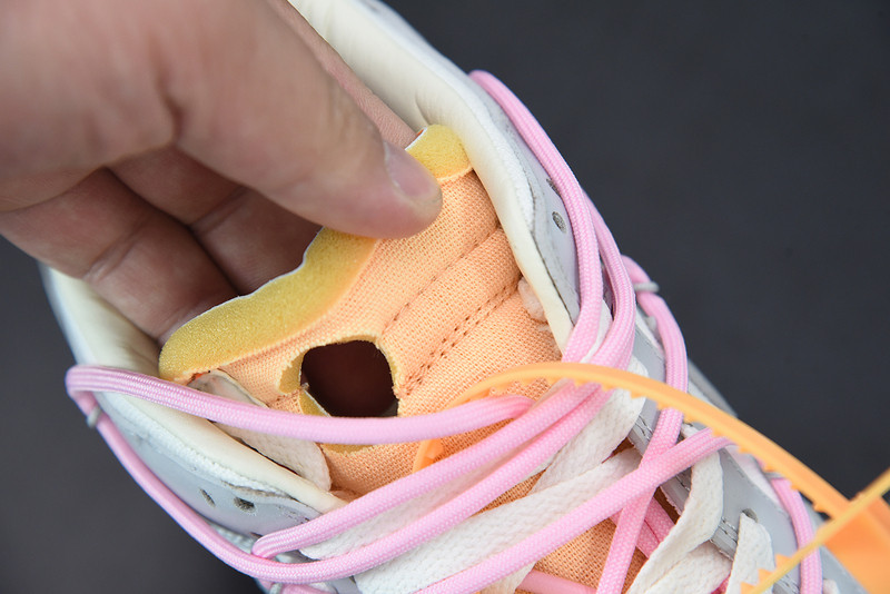 of x dunk low 