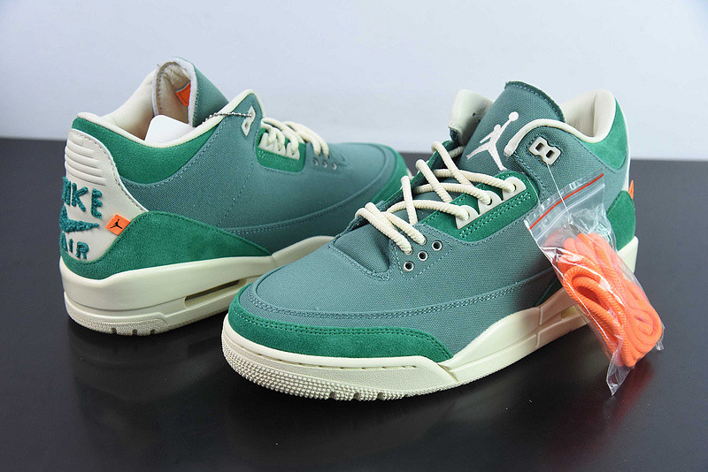 nina Ch*el abney x air jordan 3 