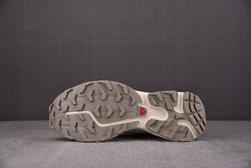 salomon xt-6 expanse