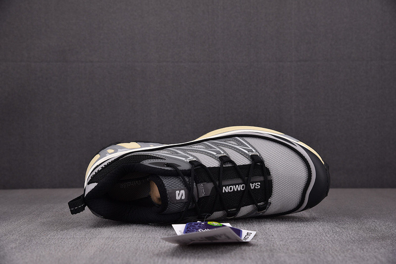 salomon xt-6 expanse