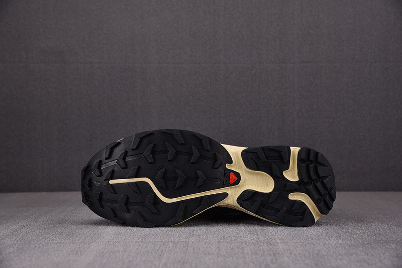 salomon xt-6 expanse