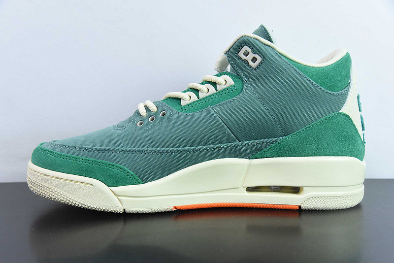 nina Ch*el abney x air jordan 3 