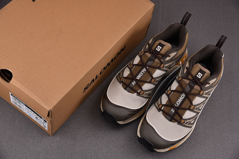 salomon xt-6 expanse