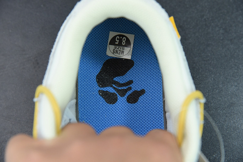 of x dunk low