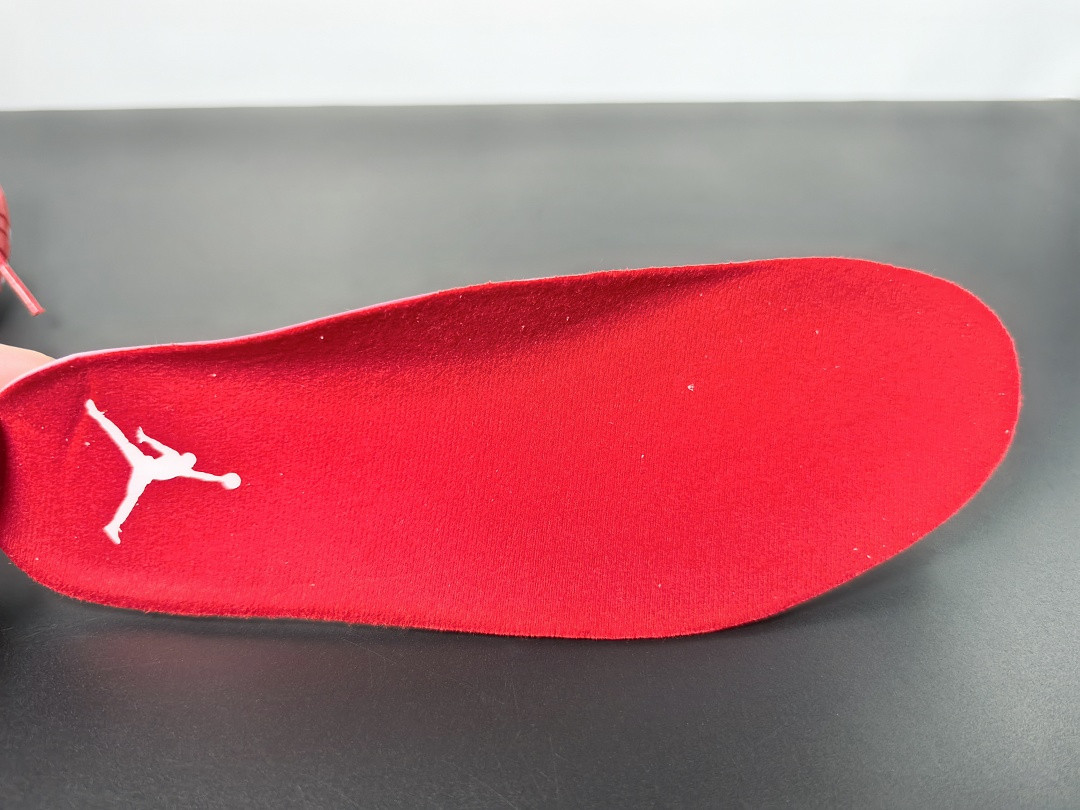 Air Jordan 10 Retro “Red Steel” 310805-161