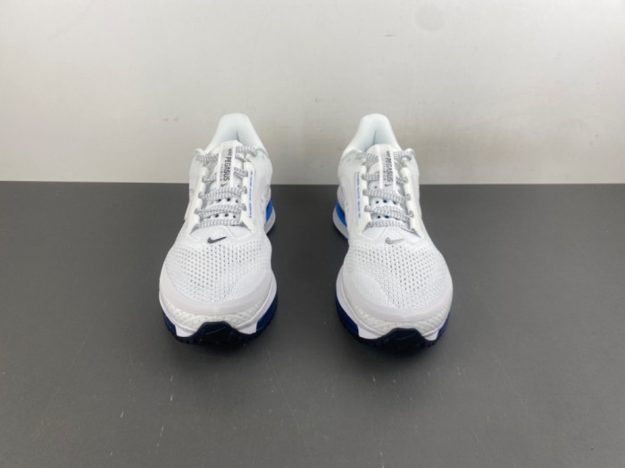 Nike Pegasus Premium 