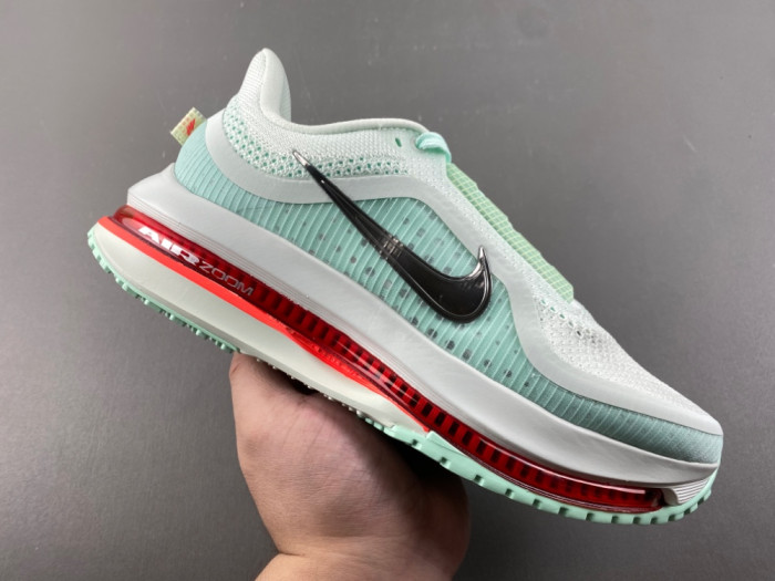 Nike Pegasus Premium 