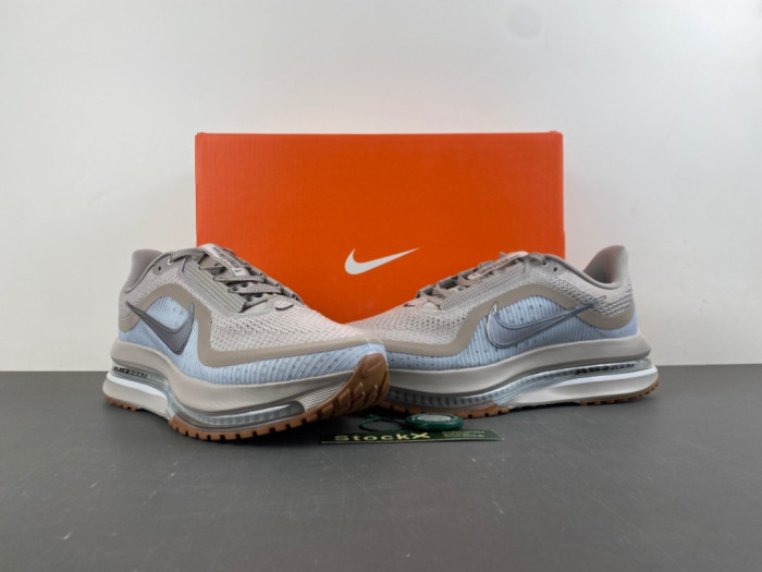 Air Zoom Pegasus Premium 