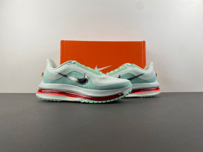 Nike Pegasus Premium 