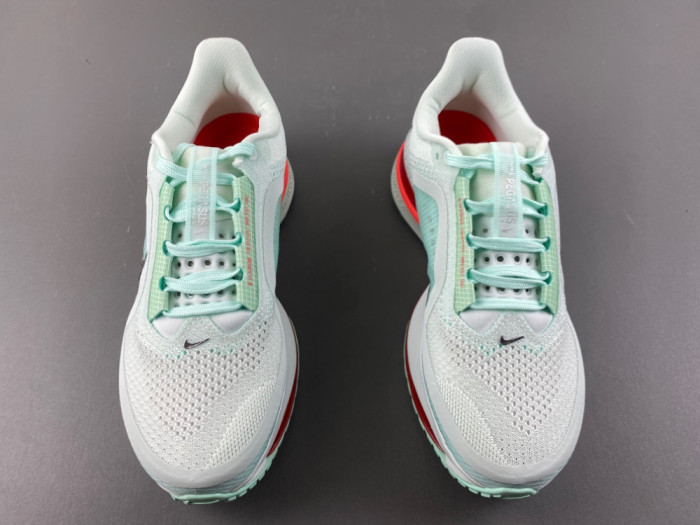 Nike Pegasus Premium 