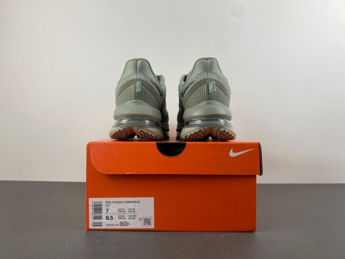 Nike Pegasus Premium 