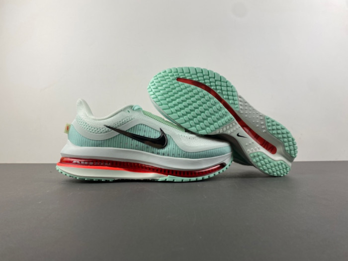 Nike Pegasus Premium 