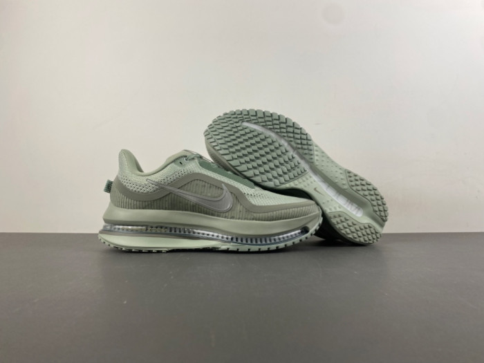 Nike Pegasus Premium 