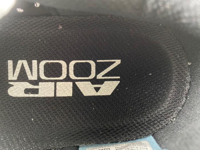 Nike Pegasus Premium SP 