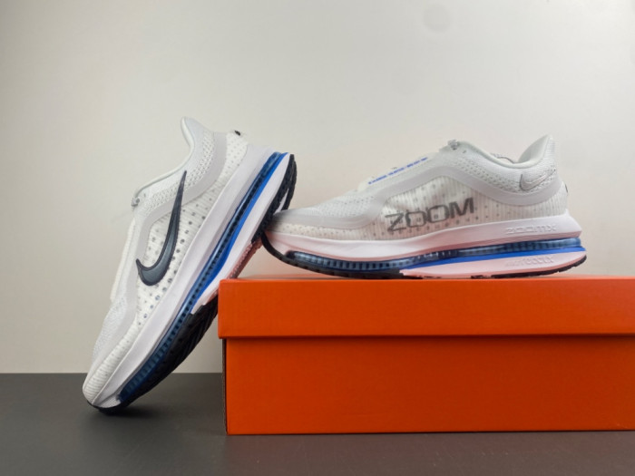 Nike Pegasus Premium 