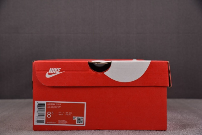 Air Max Plus TN 