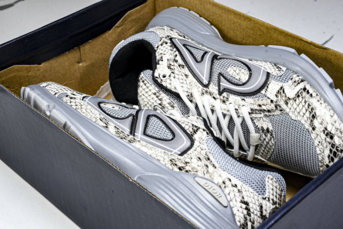 DIOR B30 SNEAKERS B30-000110