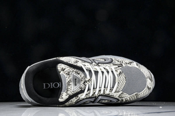 DIOR B30 SNEAKERS B30-000110