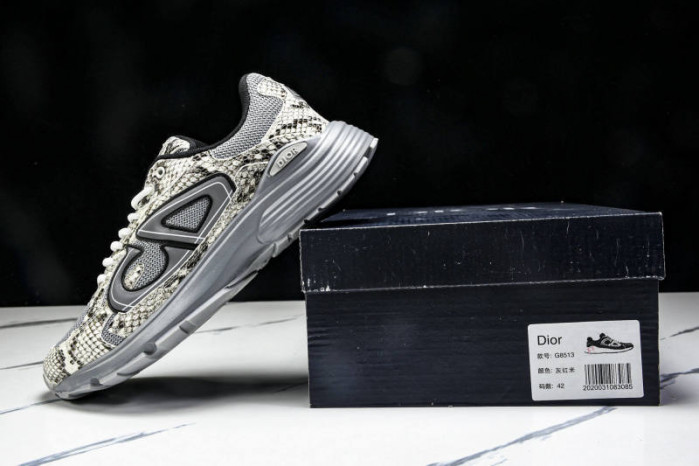 DIOR B30 SNEAKERS B30-000110