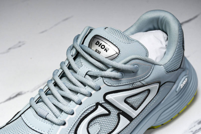 DIOR B30 SNEAKERS B30-000113
