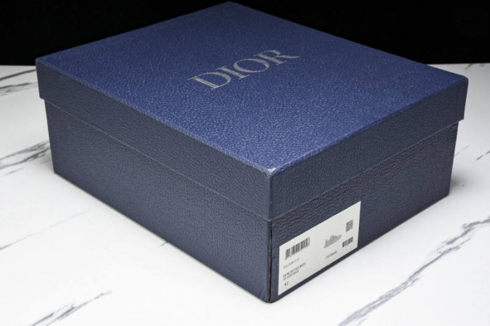 DIOR B30 SNEAKERS B30-000113