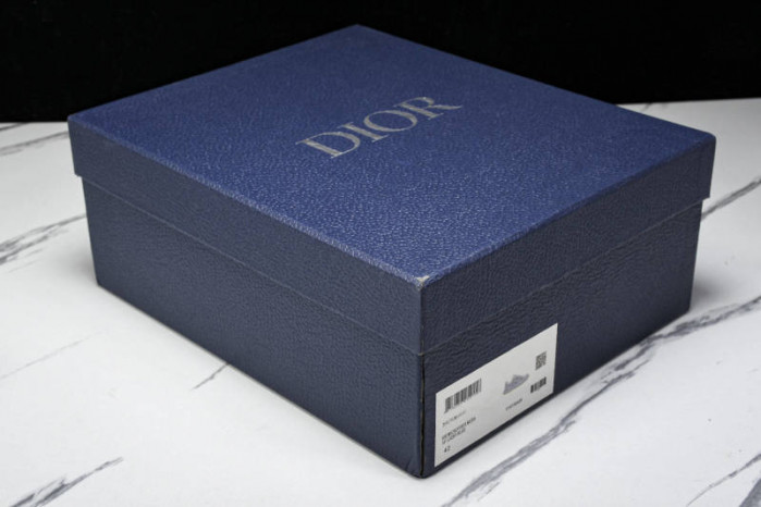 DIOR B30 SNEAKERS B30-000113