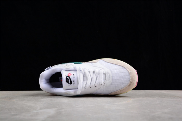 NIKE AIR MAX 1 ALL PETALS UNITED FQ0256-131