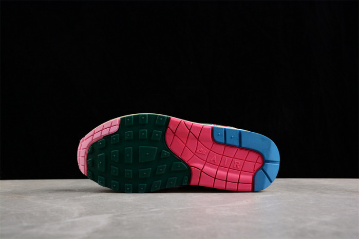 NIKE AIR MAX 1 ALL PETALS UNITED FQ0256-131