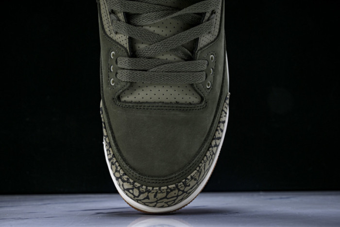 Air Jordan 3 Family Affair Medium Olive DN3707-202