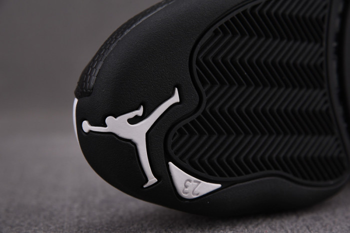 AIR JORDAN 12 “ROYALTY” CT8013-170