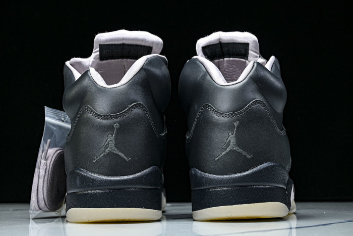 Paris Saint Germain X Jordan 5 Retro 