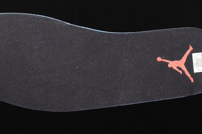 Air Jordan 12 "Twist" CT8013-106