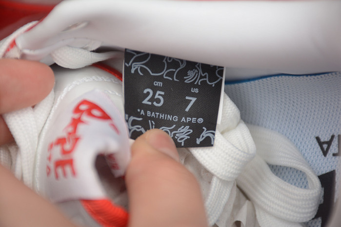 BATHING APE BA000066