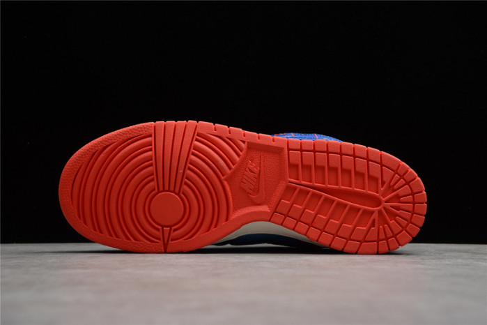 WMNS DUNK LOW 