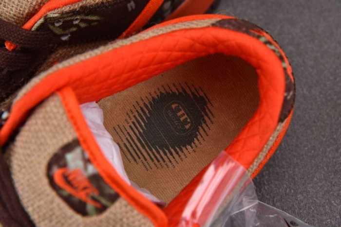 NIKE DUNK LOW Pro SB 