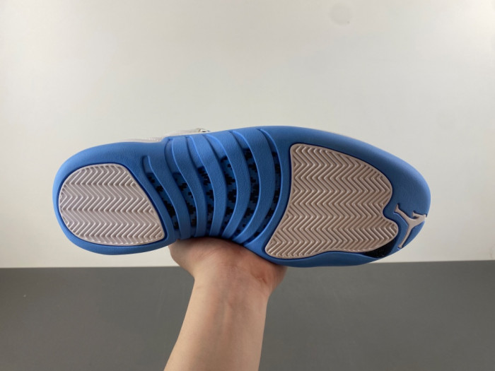 Air Jordan 12 Retro 