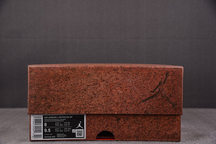 Nigel Sylvester x Air Jordan 4 Retro OG SP 