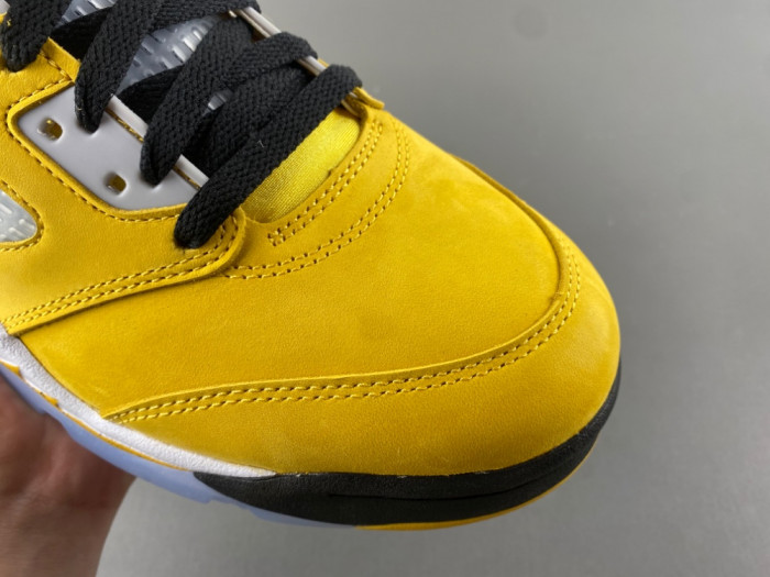 Air Jordan 5 Retro T23 